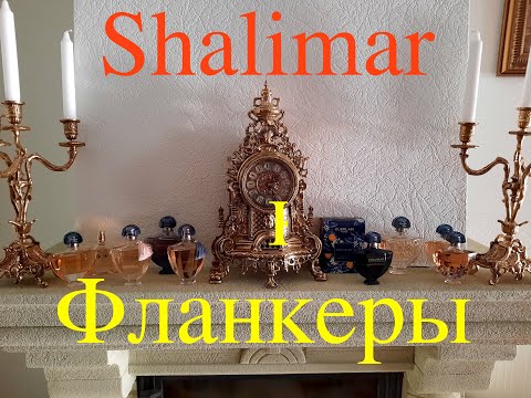 Видео: SHALIMAR. ФЛАНКЕРЫ. РОДОСЛОВНАЯ, ИСТОРИЯ.