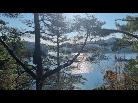 Видео: Как одеваться в Норвегии, чтобы не замерзнуть?  Обновление по пакетам-сюрпризам с едой 😀🥦🥖