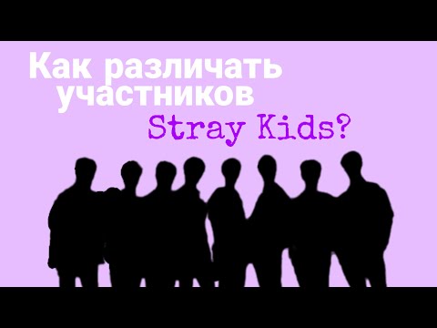 Видео: Знакомство со Stray Kids | Как Различать Участников Stray Kids