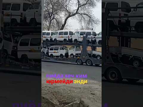 Видео: #uzbekistan #фергана #дамас