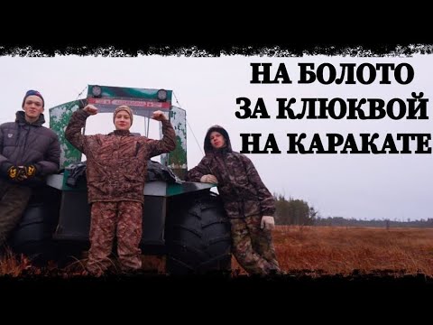 Видео: НА БОЛОТО ЗА КЛЮКВОЙ❗на КАРАКАТЕ ❗❗❗АРХАНГЕЛЬСКАЯ ОБЛАСТЬ!!!