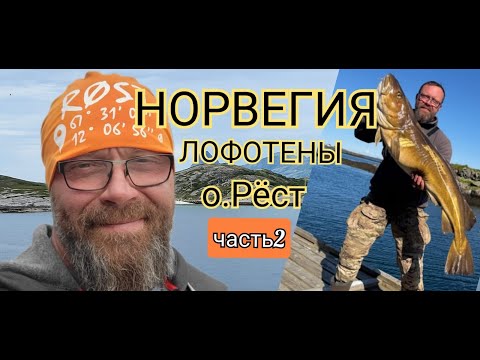 Видео: Рыбалка в Норвегии. Лофотены. о.Рёст 2я серия