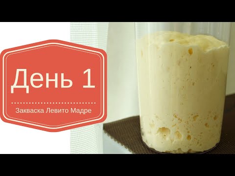 Видео: ДЕНЬ 1  - ВЫВЕДЕНИЕ ЗАКВАСКИ ЛЕВИТО МАДРЕ СУХОЙ СПОСОБ НА ВИНОГРАДЕ И АБРИКОСЕ. // ЭКСПЕРИМЕНТ