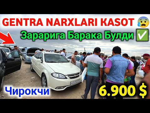 Видео: ЖЕНТРА НАРХЛАРИ ТУШМОКДА 2024  🔥 GENTRA NARXLARI PASTLAGAN 2024 ✅ #SardorBekUz