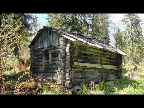 Видео: Разведка таёжной поляны и поиск старины в заброшенной деревне #387