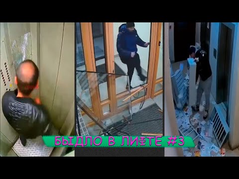 Видео: Быдло в лифтах и подъездах подборка #3 | Разнос подъезда