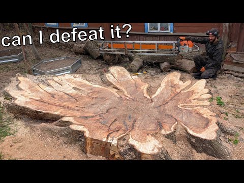 Видео: Монстр-пила против гигантского пня – смогу ли я победить его?