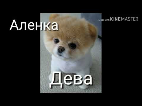 Видео: Кто ты по знаку зодиака песнями 3 часть