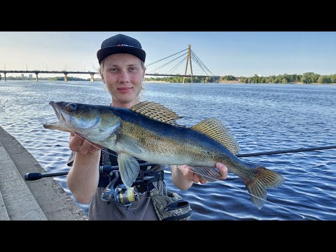 Видео: Набережна РОЗДАЄ судаків. Вечірня ловля судака в центрі Києва