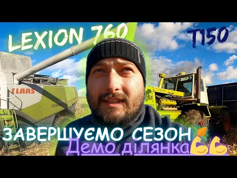 Видео: Демо участок кукурузы‼️
