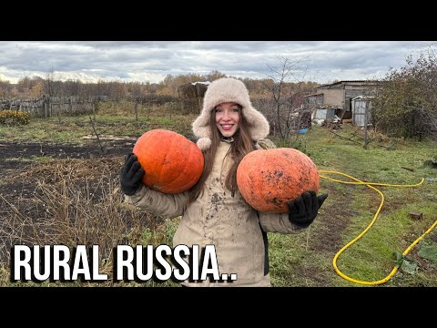 Видео: Жизнь на СИБИРСКОЙ ФЕРМЕ: новые куры🥹, гора бесплатных тыкв и кролики наконец-то дома🐰