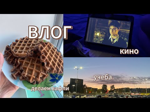 Видео: ДНЕВНИК СТУДЕНТКИ | будни | учеба | делаем вафли