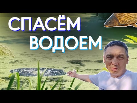 Видео: Спасаем водоем. улучшаем экологическую обстановку деградировавшего пруда.