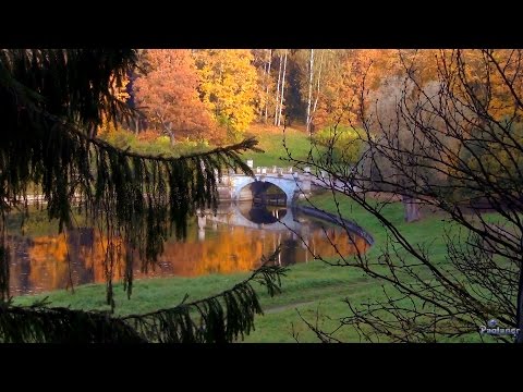 Видео: Осенний Павловский парк (2014)