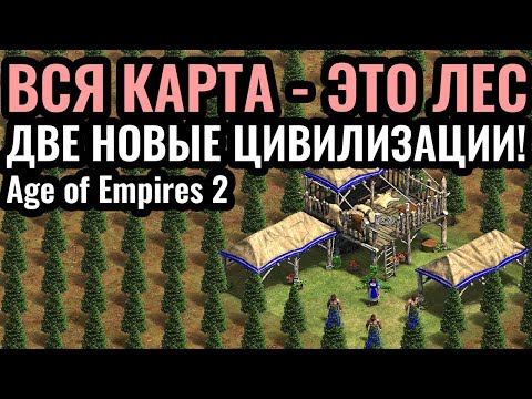 Видео: ВСЯ КАРТА - ЭТО ЛЕС: НОВАЯ топ-1 Цивилизация на Forest Nothing в Age of Empires 2