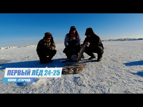 Видео: Первый Лёд 2024 - 2025. Зимняя Рыбалка с ночевкой на старице реки Ишим