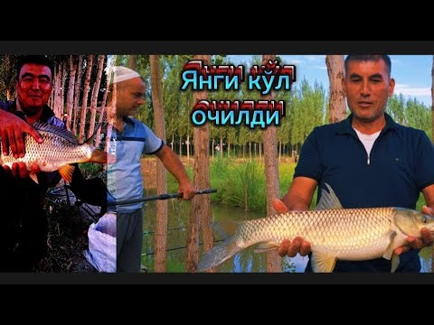 Видео: Андижон вилояти Избоскан туманида яна янги кўл.  Жавохирбек кўли. 