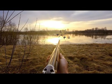 Видео: Открытие Сезона Охоты на СЕЛЕЗНЕЙ с Подсадной. 2025.