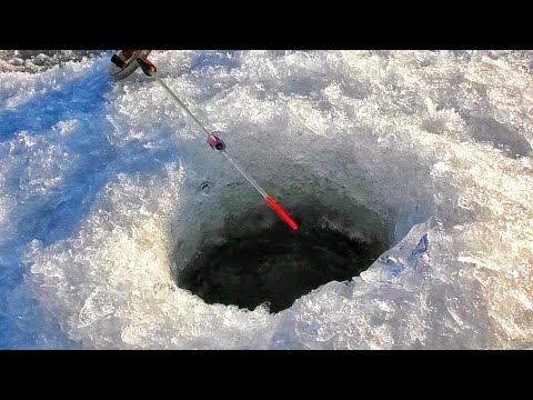 Видео: ВОЛОСЫ ДЫБОМ, КОГДА ТАКОЕ ВИДИШЬ, РЫБАЛКА НА БЕЗМОТЫЛКУ С КАМЕРОЙ