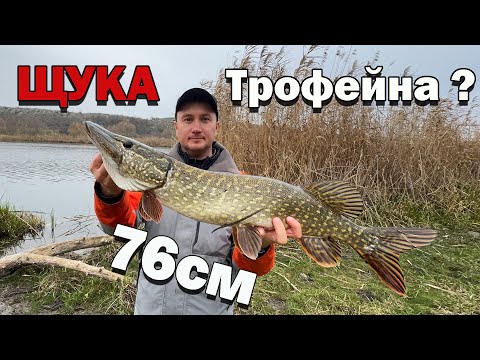Видео: НЕЙМОВІРНА рибалка на щуку в листопаді 