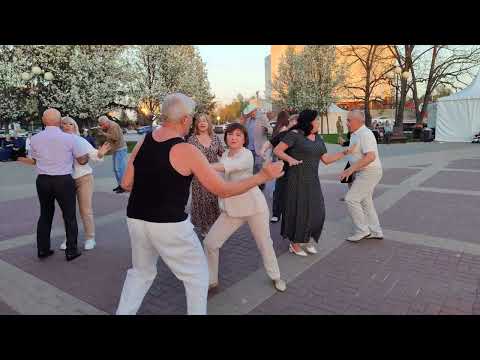 Видео: Синий иней...... 20.04.25.