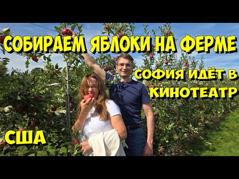 Видео: США. Собираем яблоки на ферме, София идёт в кинотеатр