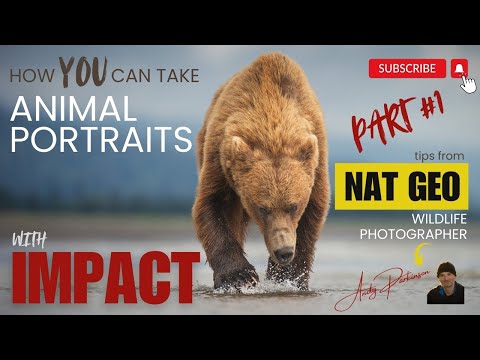 Видео: Портреты животных с эффектом! Советы фотографа NAT GEO... Часть 1 из 2