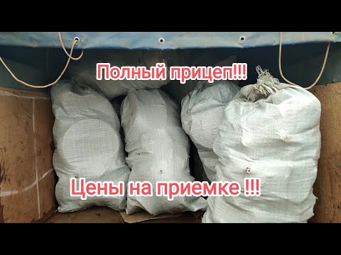 Видео: Сдача цветного металла!!!Полный заработок за сезон копа!!!Цены на приемке!!!