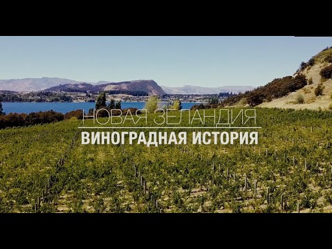 Видео: Новая Зеландия. Как делают вино в Новой Зеландии