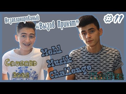 Видео: #11 Вызов Принят:Mehl Musik Challenge / Crushed Eggs | HalBer