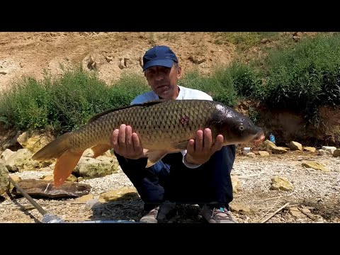 Видео: Сазан на реке Кама. Рыбалка в Татарстане.