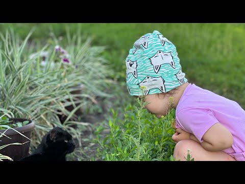 Видео: Зоя в деревне