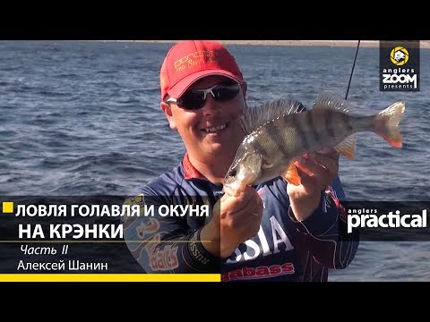 Видео: Алексей Шанин. Ловля голавля и окуня на крэнки. 2 часть. Anglers Practical