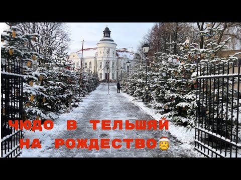 Видео: Рождество в Тельшяй 2023. 🇱🇹 🎅