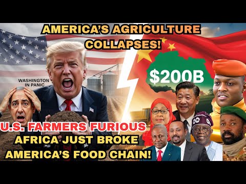 Видео: «Как отмена сельскохозяйственной сделки в Африке на 200 миллиардов долларов парализовала сельское...