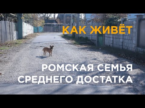 Видео: Металлолом, собаки и авто без колёс. Жизнь ромской семьи в неблагополучном районе
