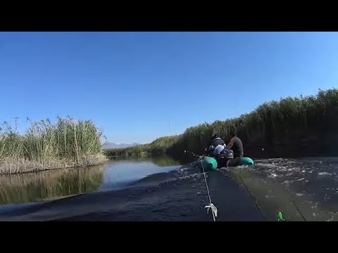 Видео: Рыбалка.Речные монстры сезон 1. Ловля змей головы!!!