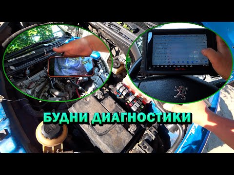 Видео: Один день автодиагноста