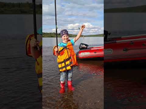 Видео: Половники лето 25 