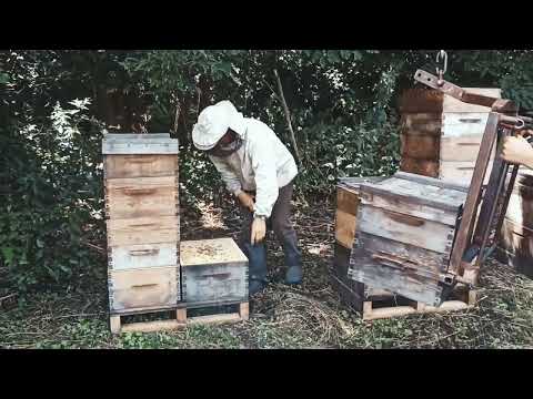 Видео: Постановка пустих магазинів за допомогою крана маніпулятора