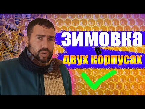 Видео: как пчелы успешно зимуют в двух корпусах зимой. Как формировать пчел в двух корпусной зимовке