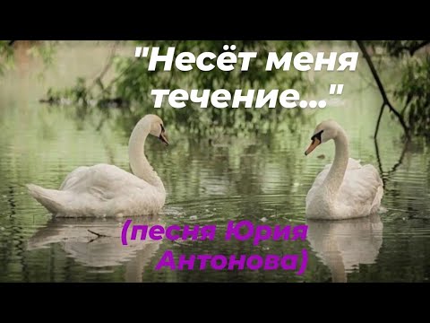 Видео: Песня Юрия Антонова "Несёт меня течение"💫💫💫