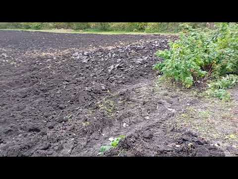 Видео: Город з орали 2025 р .