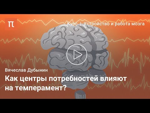 Видео: Мозговые центры потребностей и эмоций — Вячеслав Дубынин