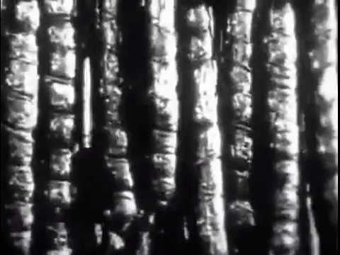 Видео: Алма-Ата. 1960 год