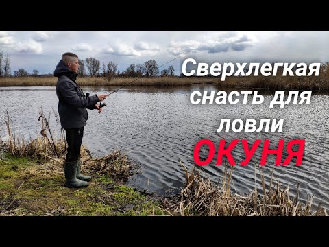 Видео: Эта снасть косит весеннего окуня! Ловля щуки и окуня на микроджиг. Azura Olivia 2021. Olivia 1000s.