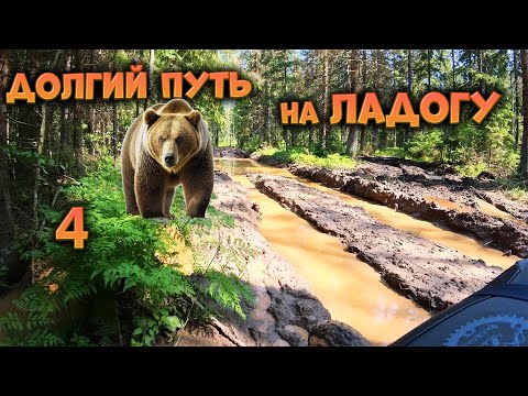 Видео: Наткнулся на МЕДВЕДЯ на бездорожье ЛЕДЕНЯЩИЙ УЖАС-В одиночку 900км Тверь-Ладога-ч4