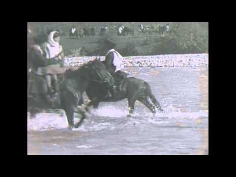 Видео: Верхний Баксан. Праздник.