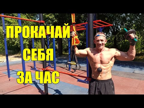 Видео: Прокачка всех мышц в одной тренировке. Универсальные упражнения