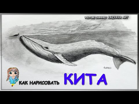 Видео: Как нарисовать синего КИТА карандашом. Поэтапное рисование